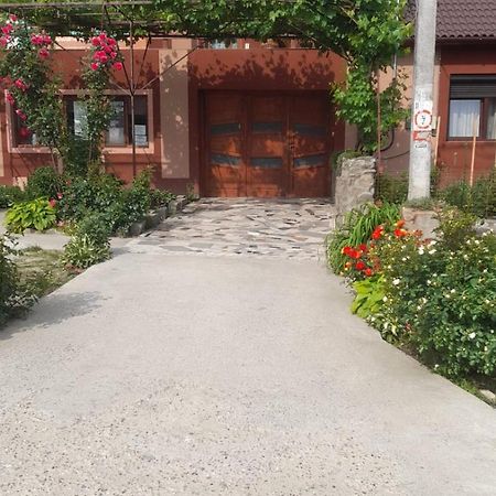 Hotel Casa Elena Ieşelniţa Extérieur photo