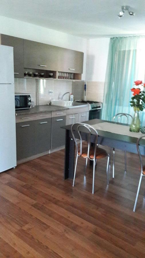 Hotel Casa Elena Ieşelniţa Extérieur photo