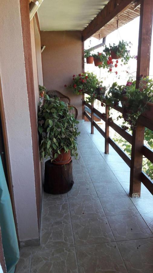 Hotel Casa Elena Ieşelniţa Extérieur photo