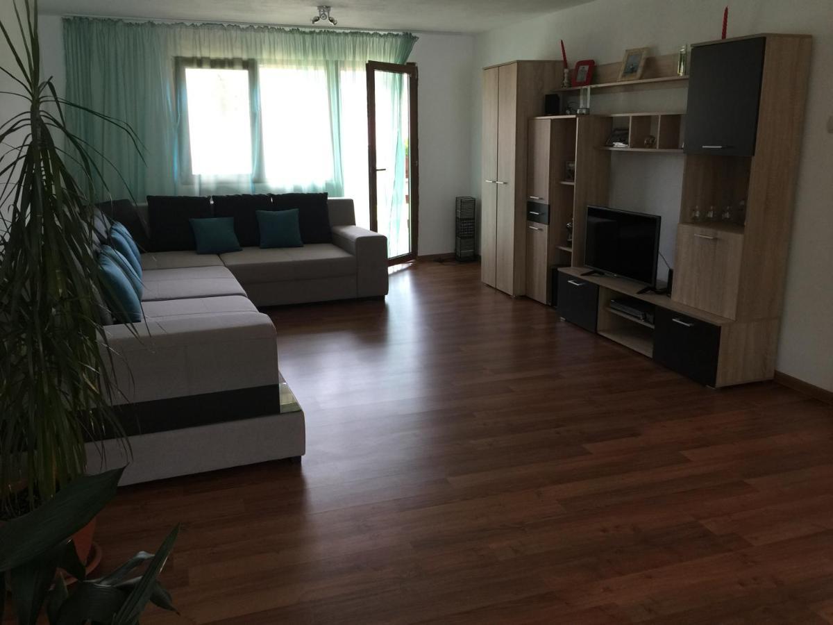 Hotel Casa Elena Ieşelniţa Extérieur photo