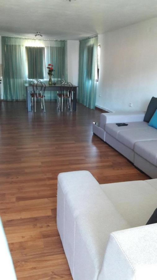 Hotel Casa Elena Ieşelniţa Extérieur photo