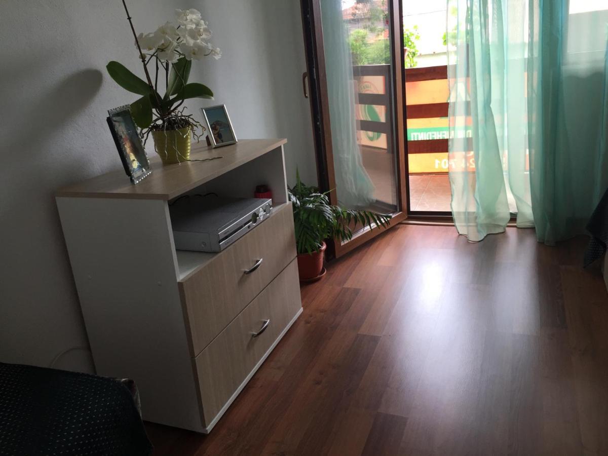 Hotel Casa Elena Ieşelniţa Extérieur photo