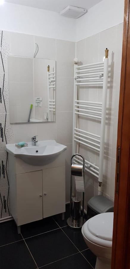 Hotel Casa Elena Ieşelniţa Extérieur photo