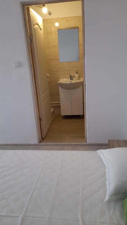 Hotel Casa Elena Ieşelniţa Extérieur photo