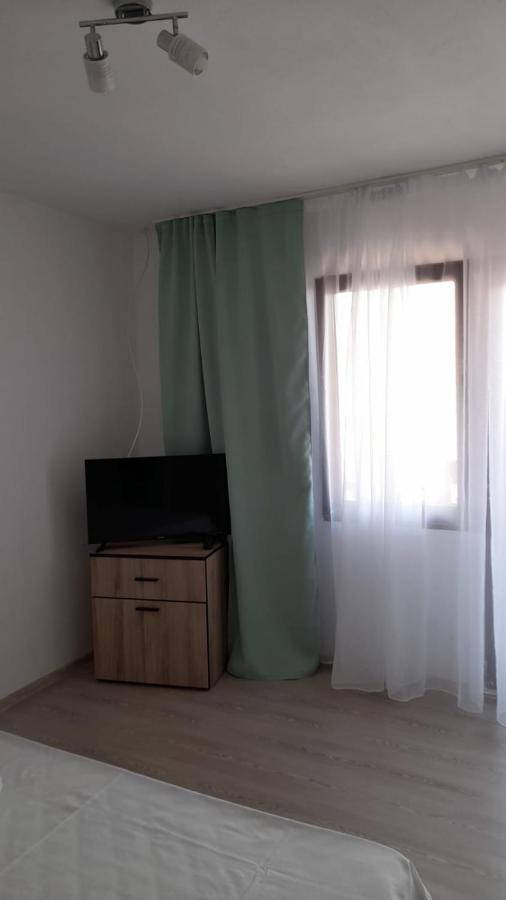 Hotel Casa Elena Ieşelniţa Extérieur photo