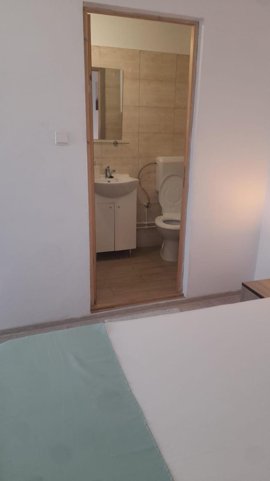 Hotel Casa Elena Ieşelniţa Extérieur photo