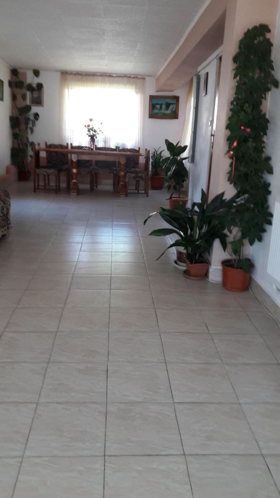 Hotel Casa Elena Ieşelniţa Extérieur photo