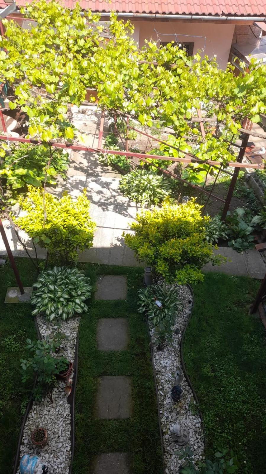 Hotel Casa Elena Ieşelniţa Extérieur photo